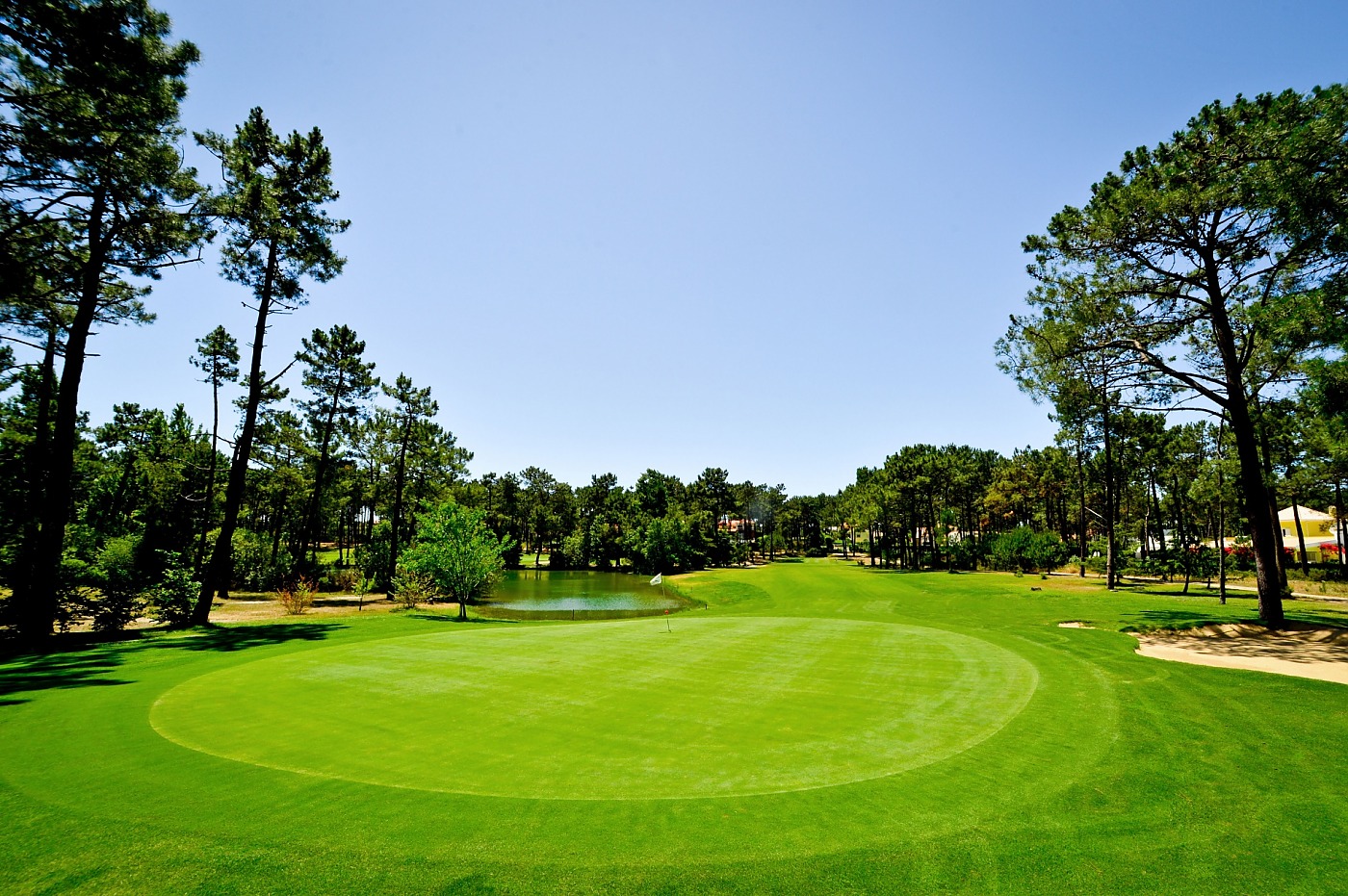 Aroeira Pines Classic Golfplatz