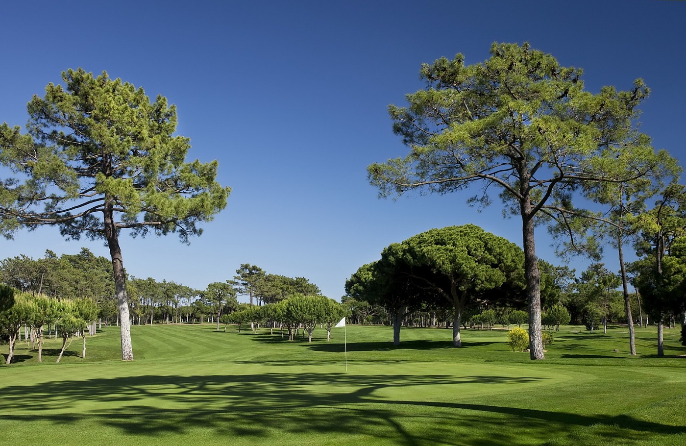 The Old Course Vilamoura