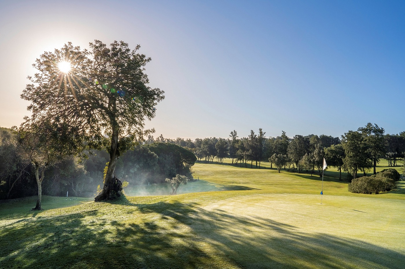 Parcours de Golf Alto