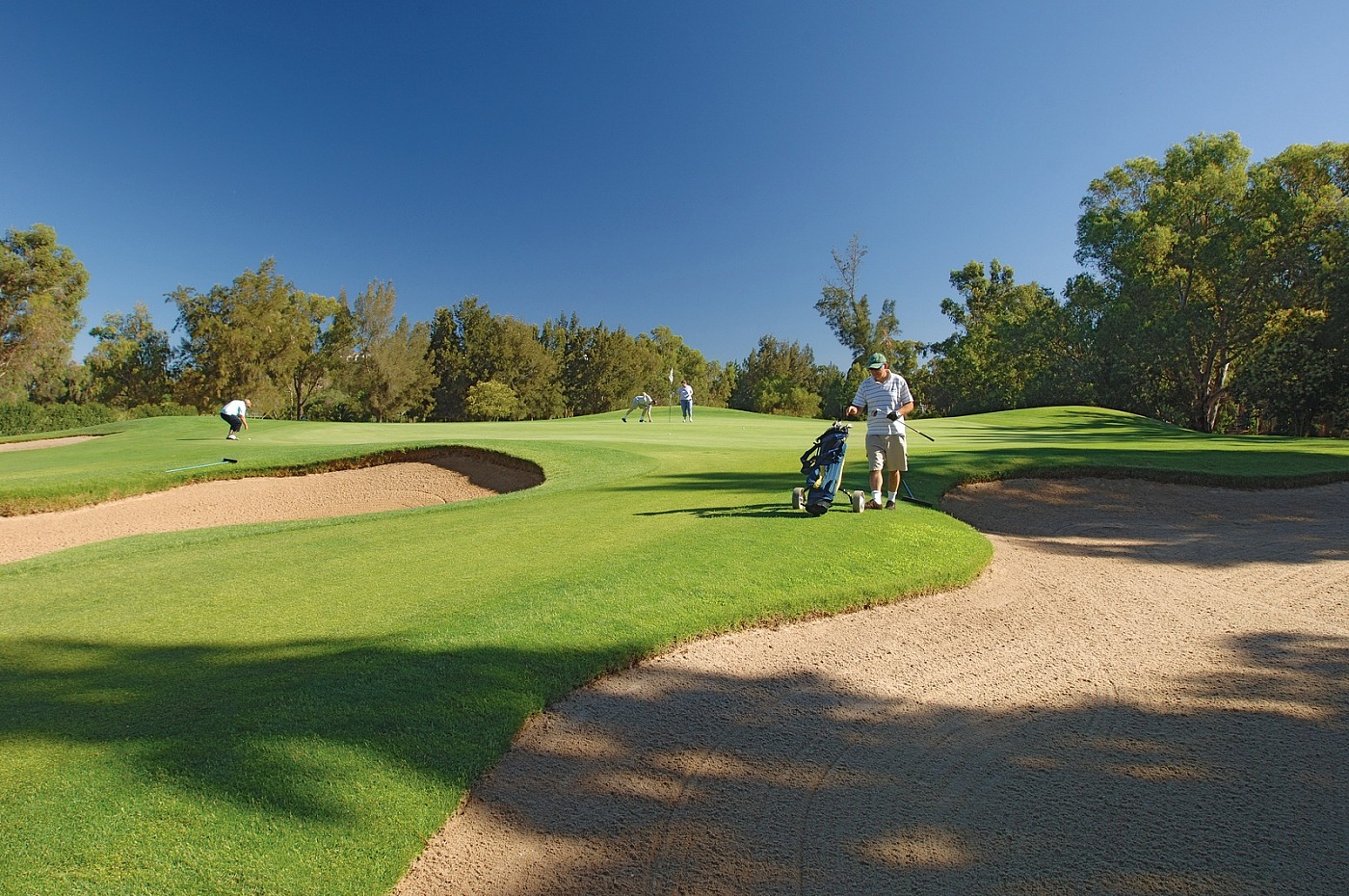 Parcours de Golf Penina 