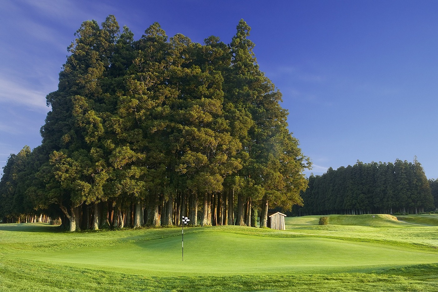 Parcours de Golf Açores - Furnas