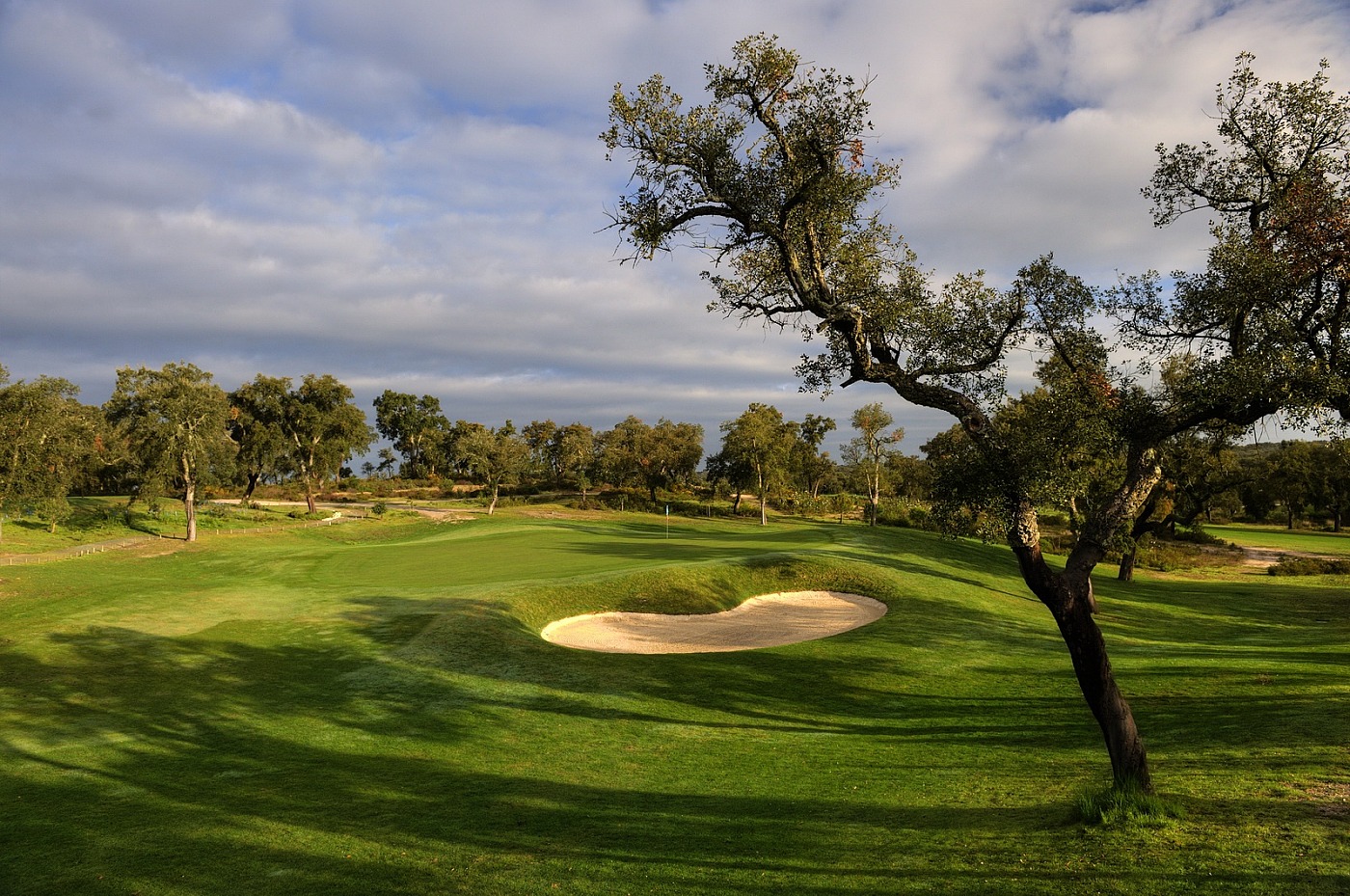 Parcours de Golf Ribagolfe Oaks