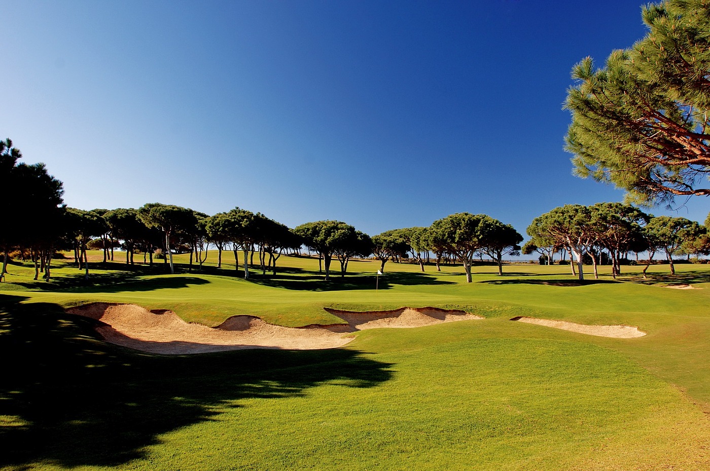 Parcours de Golf Pine CLiffs