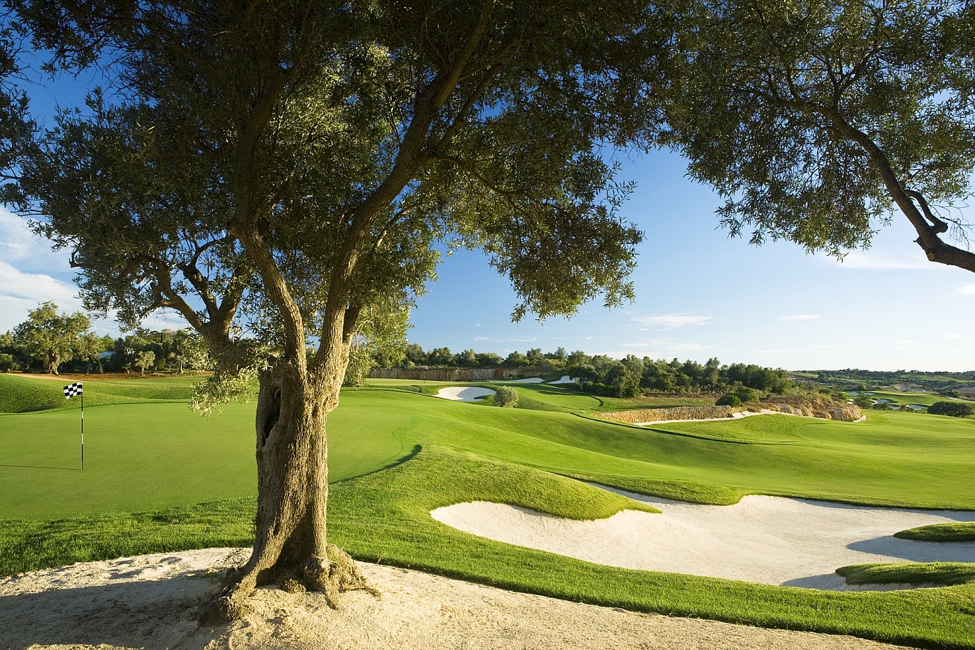 Parcours de Golf Faldo Amendoeira