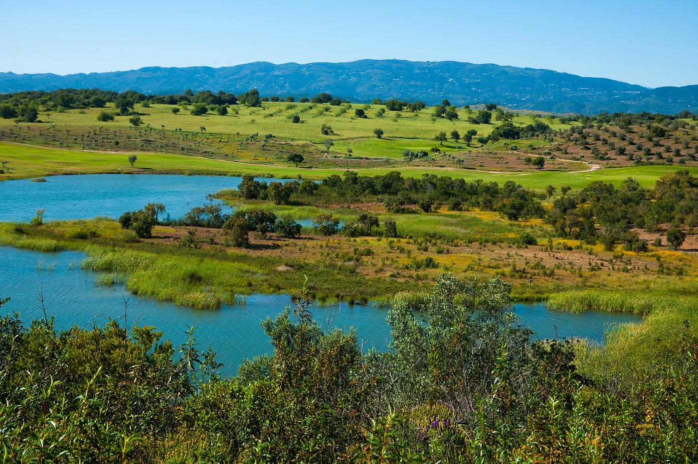 Alamos Golfplatz