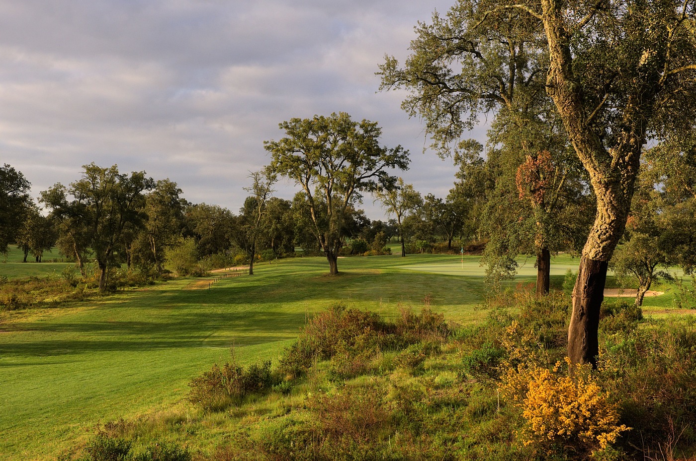 Ribagolfe Oaks