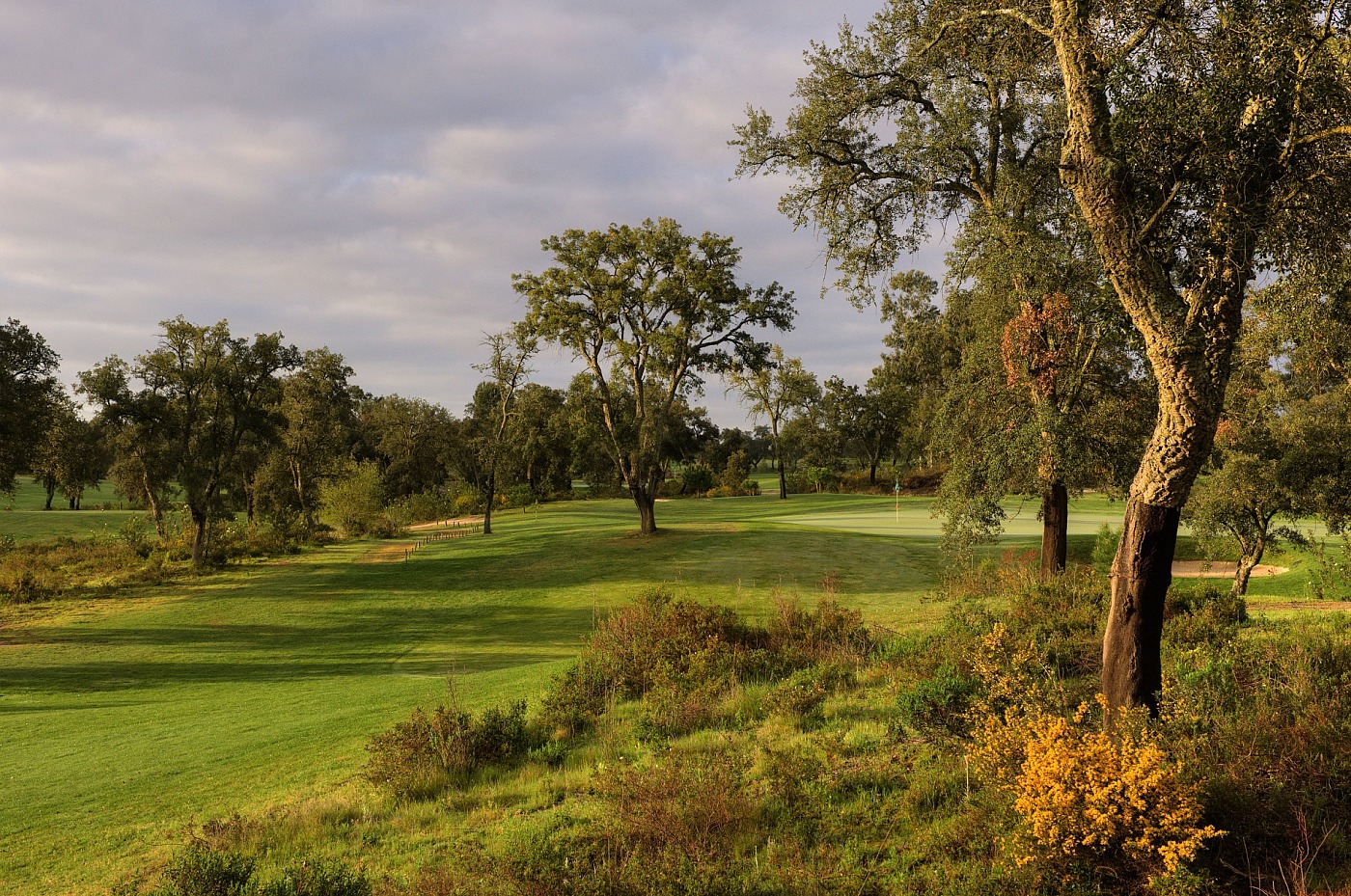 Parcours de Golf Ribagolfe Oaks