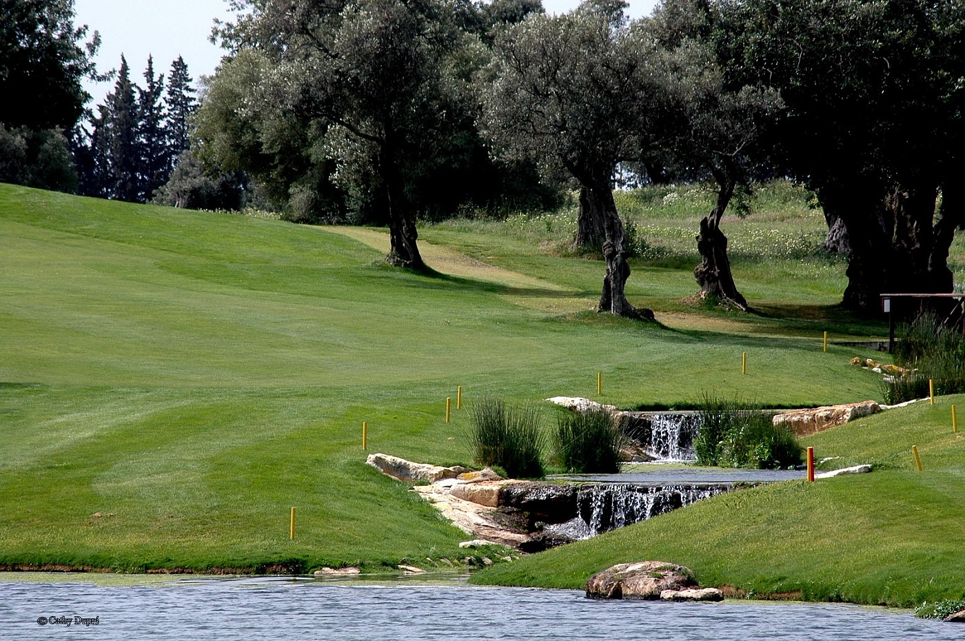 Parcours de Golf Quinta da Cima