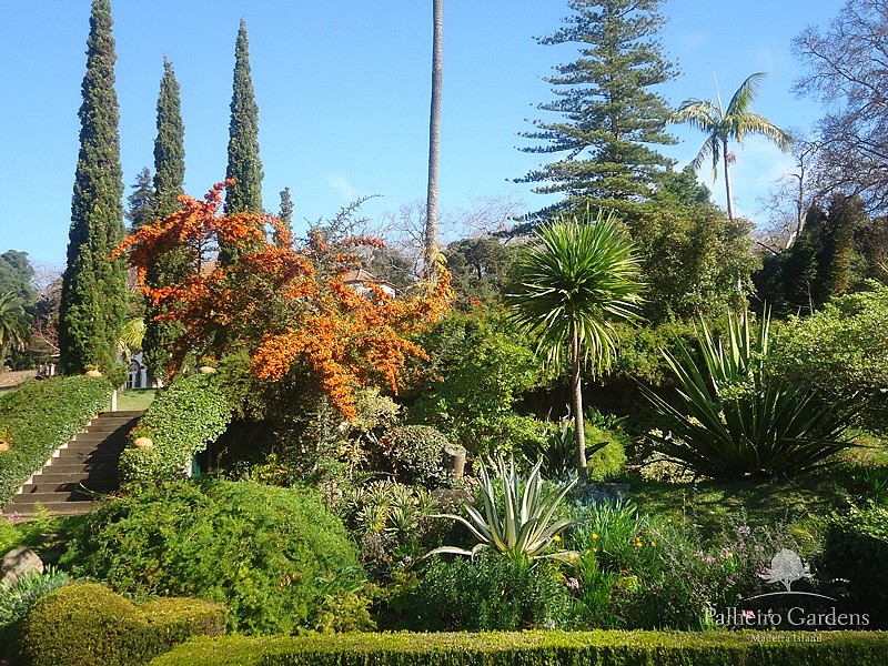 Palheiro Gardens