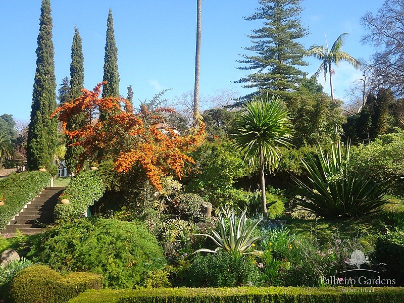  Jardins du Palheiro