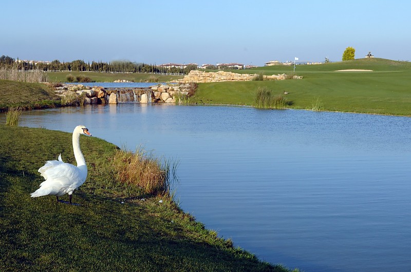 Victoria Golf Vilamoura Golf Course