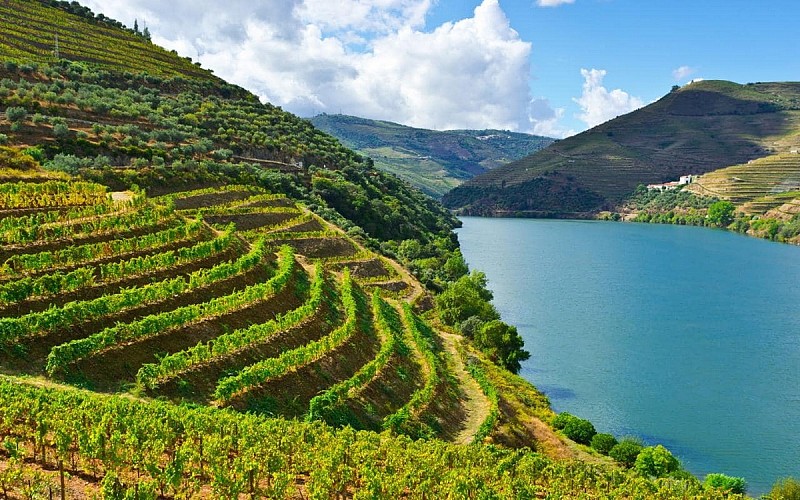 Douro River Valley