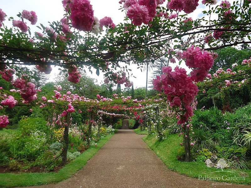  Jardins du Palheiro