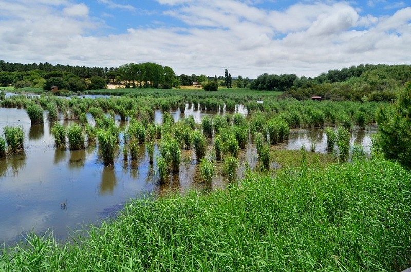 Sesimbra - Small Lagoon